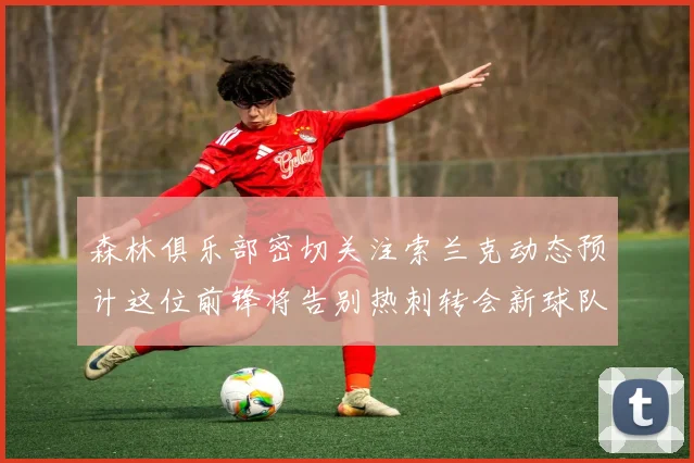 森林俱乐部密切关注索兰克动态预计这位前锋将告别热刺转会新球队
